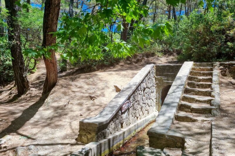 Rhodes: Butterfly Valley and Seven Springs Valley Day Trip - What We Loved & What to Watch Out For