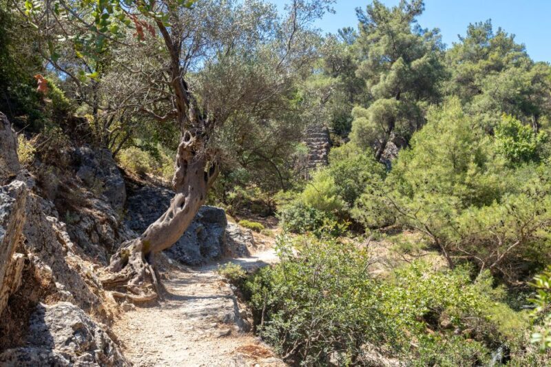 Rhodes: Butterfly Valley and Seven Springs Valley Day Trip - Final Thoughts