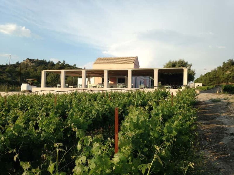 Rhodes: Cooking Class and Wine Tasting Experience - In The Sum Up