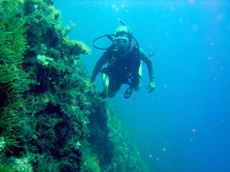 Rhodes: Diving Adventure for Beginners and Experts - Key Points