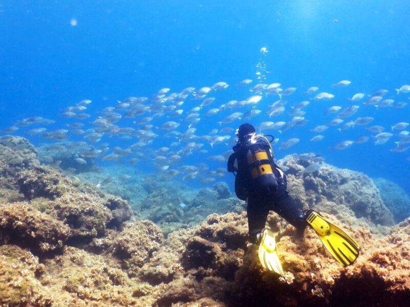 Rhodes: Diving Adventure for Beginners and Experts - A Closer Look at the Rhodes Diving Experience