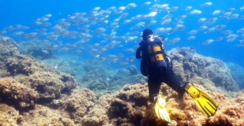 Rhodes: Diving Adventure for Beginners and Experts - Who Is This Tour Best Suited For?