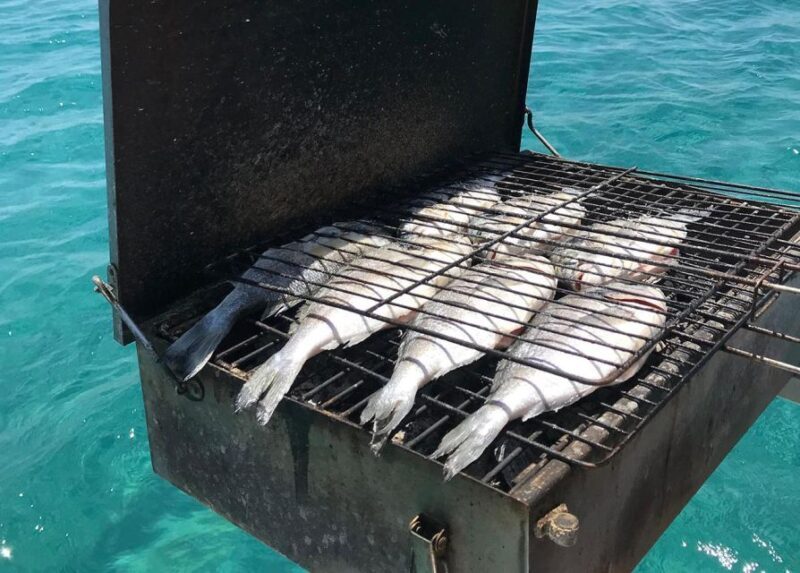 Rhodes: Fishing Boat Trip (Small Group, Food & Drinks incl.) - The Sum Up: Who Is This Trip Best For?