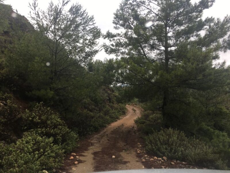 Rhodes: Full-Day 4WD Southern Safari Tour - FAQs