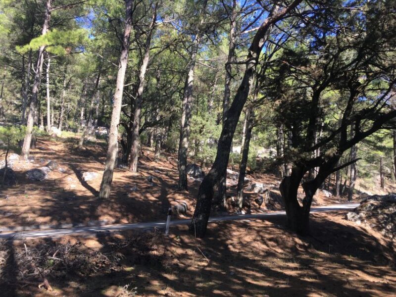 Rhodes: Full-Day 4WD Northern Safari Tour - Key Points