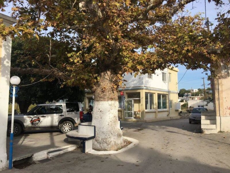 Rhodes: Full-Day 4WD Northern Safari Tour - Exploring Rhodes’ Northern Secrets in a 4WD
