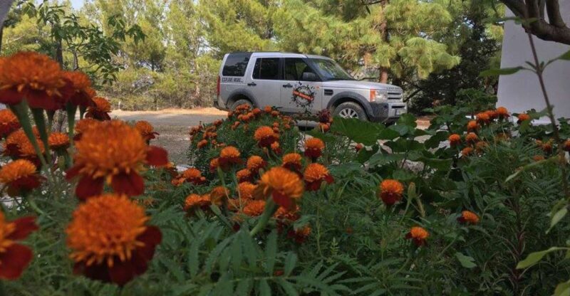 Rhodes: Full-Day 4WD Northern Safari Tour - FAQ