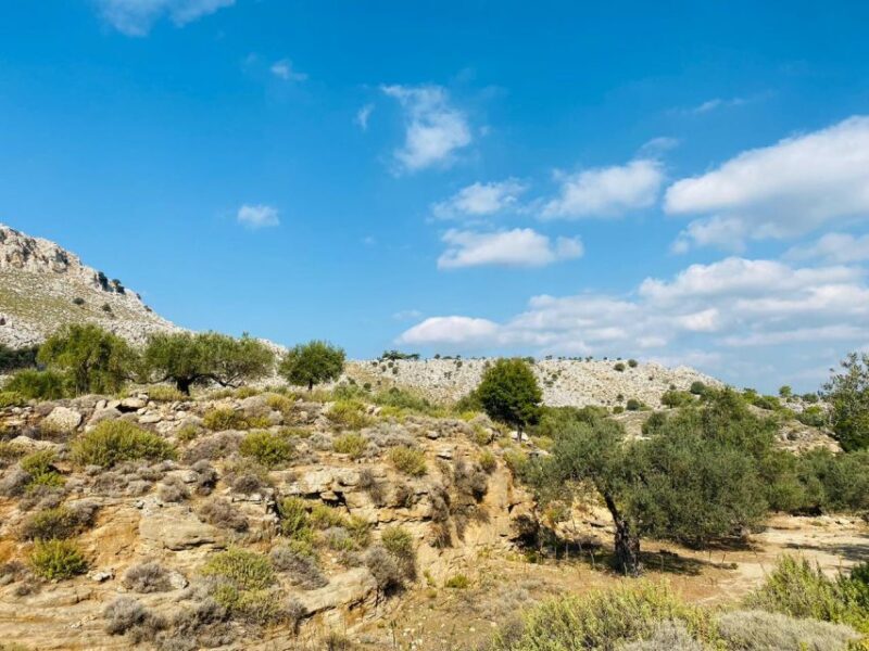 Rhodes: Guided Hike to 7 springs from Archangelos - Practical Considerations