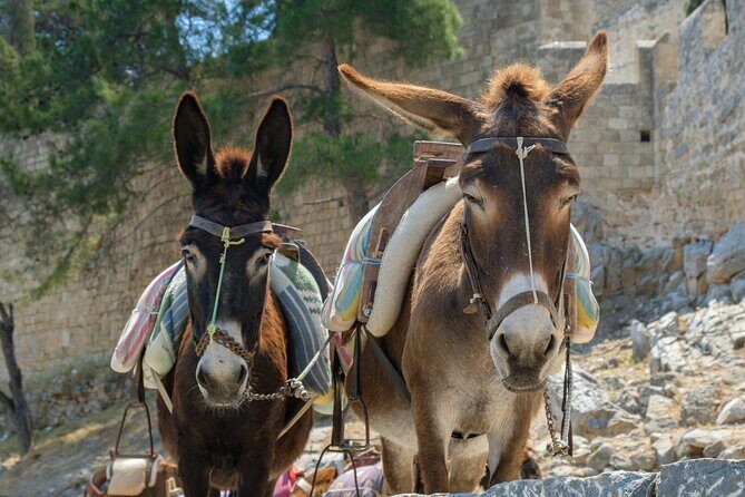 Rhodes Hidden Gems: Self-Drive Offroad Expedition - An In-Depth Look at the Rhodes Hidden Gems Tour