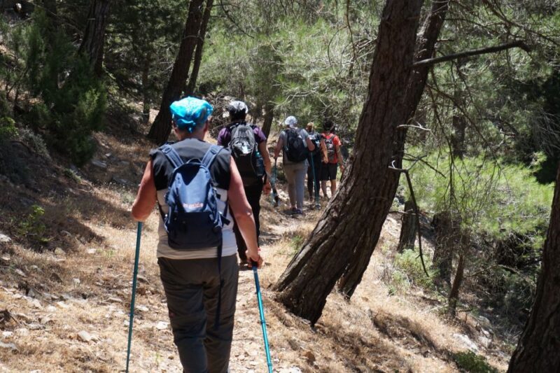 Rhodes: Hiking Tour to the Summit of Akramitis with Photos - An In-Depth Look at the Akramitis Hike