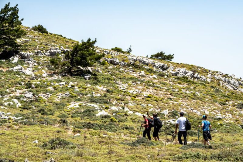 Rhodes: Hiking Tour to the Summit of Akramitis with Photos - Final Thoughts