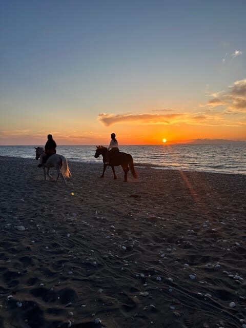 Rhodes: Horseback Riding Trip with Digital Photos - Key Points
