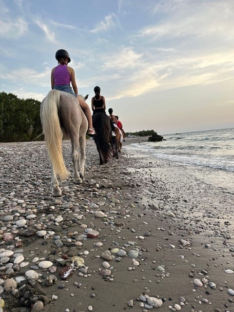 Rhodes: Horseback Riding Trip with Digital Photos - The Sum Up: Is It Worth It?