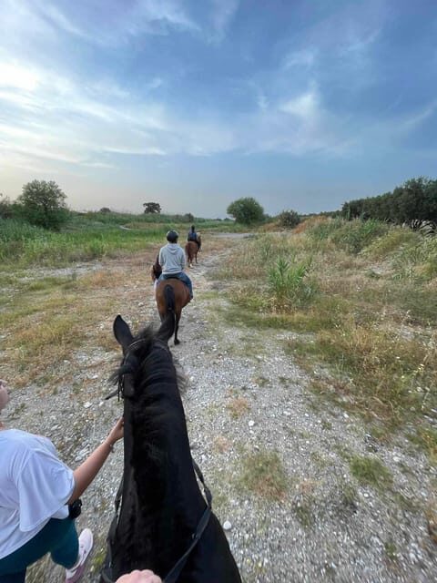 Rhodes: Horseback Riding Trip with Digital Photos - FAQ