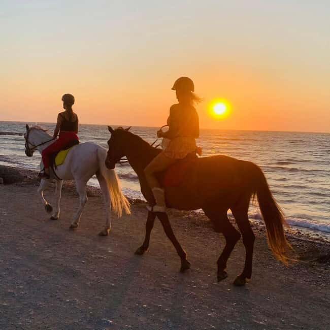 Rhodes Island: Horseback Riding at the Beach During Sunset - Who Will Love This Experience?