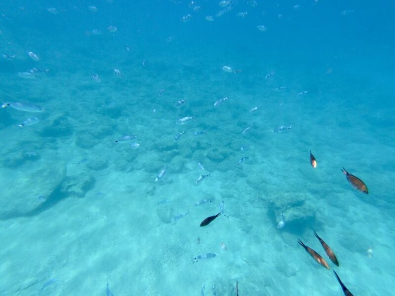 Rhodes: Luxury RIB All-Inclusive Swimming Cruise to 3 Bays - Rhodes: Luxury RIB All-Inclusive Swimming Cruise to 3 Bays