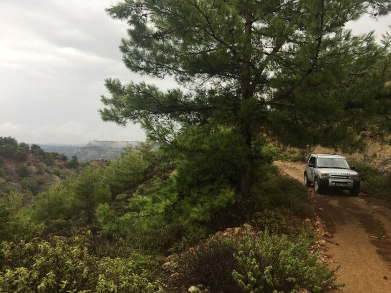 Rhodes North Safari: Hidden Paths & Scenic Flavors - Exploring Rhodes North Safari in Detail