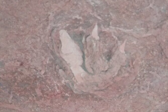 Rhodes Off Road Adventures Guided Jeep Tour from Rock Crawling to Petroglyphs - Frequently Asked Questions