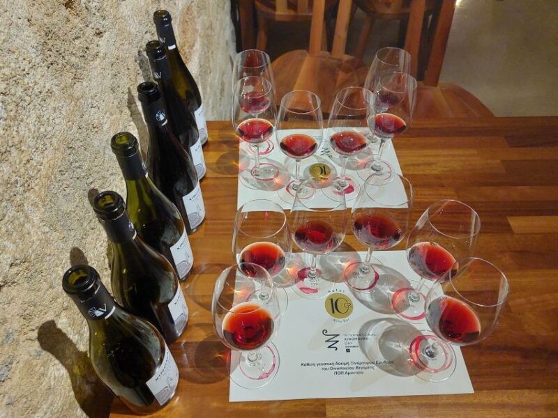 Rhodes: Private Wine Tasting Experience for Beginners - Who Should Book This Tour?