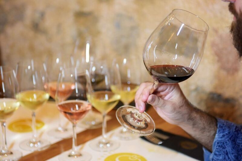 Rhodes: Private Wine Tasting Experience for Beginners - Final Thoughts