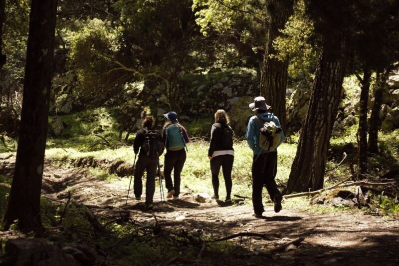 Rhodes: Profitis Ilias Guided Sunset Hike - Who Should Consider This Tour?