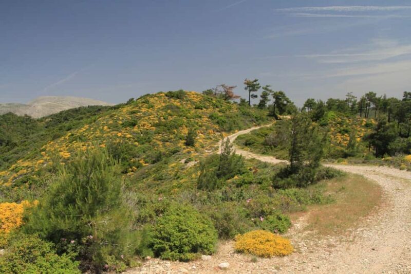Rhodes: Safari with experienced driver - South pick ups - Transportation and Practicalities