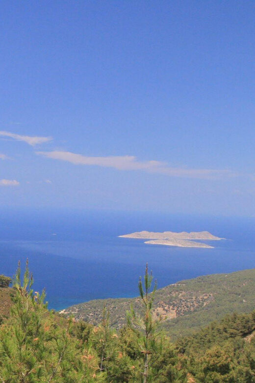 Rhodes: Safari with experienced driver - South pick ups - Who Should Consider This Tour?