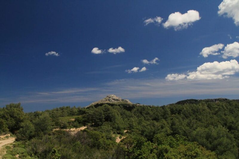 Rhodes: Safari with our driver - North - Pick ups West Coast - FAQs