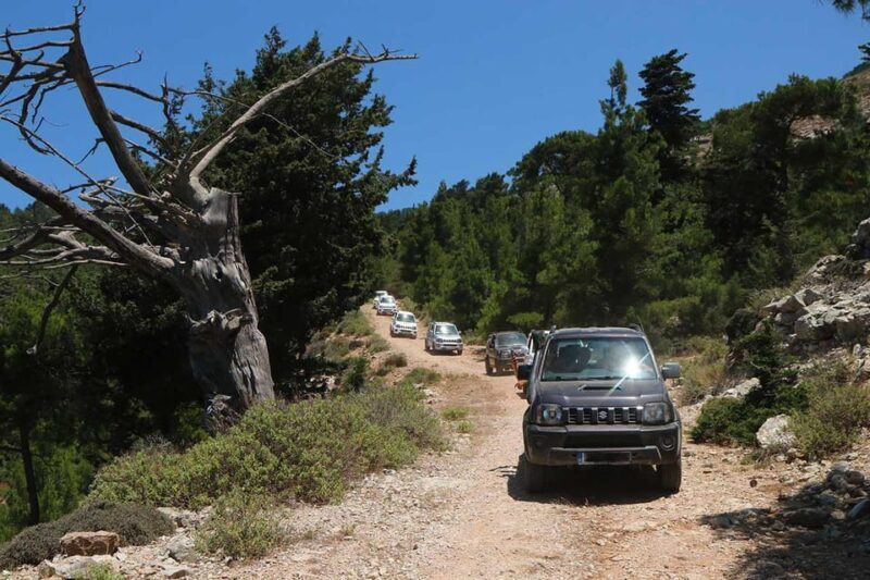 Rhodes: Self-Drive 4x4 Safari Tour with North Pickup - Final Thoughts: Is This Tour for You?