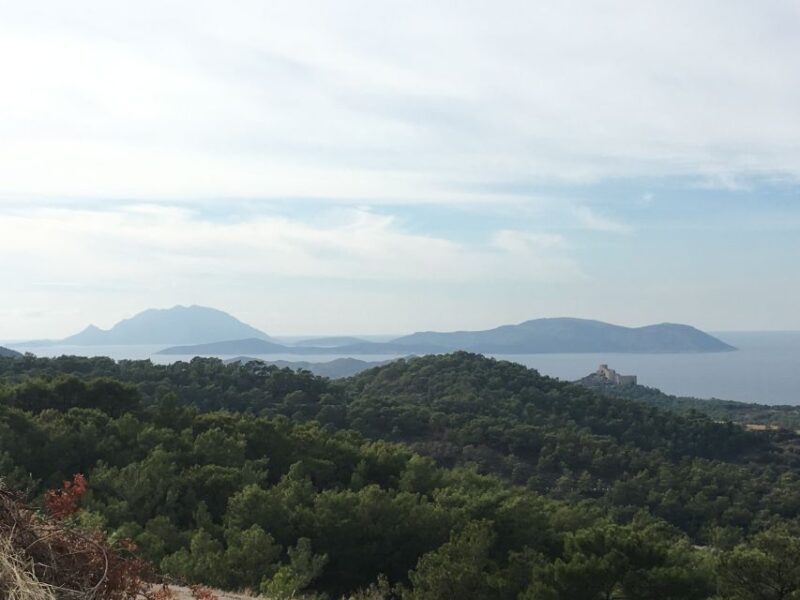 Rhodes South Safari: Mountains & Local Flavors - Practical Insights & Why It Matters