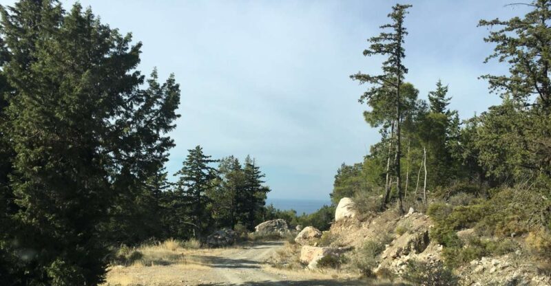 Rhodes South Safari: Mountains & Local Flavors - FAQ: Your Questions Answered