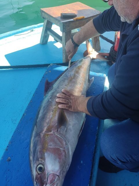 Rhodes Town: Fishing Boat Trip with Fish Meal and Swim Stops - Authentic Experiences That Leave a Mark