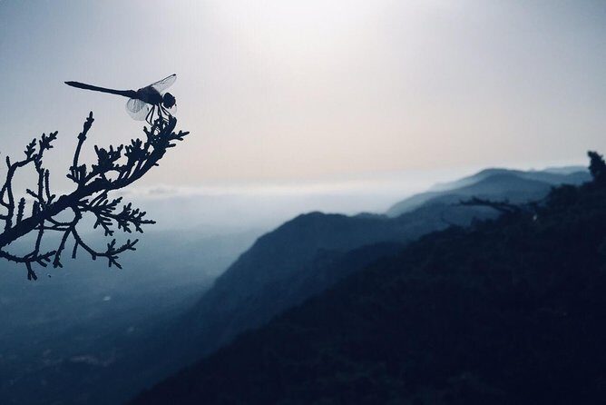 Rhodes Uncharted South Safari: Mountains, Monasteries, & Flavors - FAQs