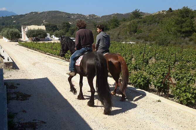 Rhodes Wine & Food Tour: 10 Meal Course Lunch, Wine Tasting, Cooking Class - A Deep Dive into the Rhodes Wine & Food Tour