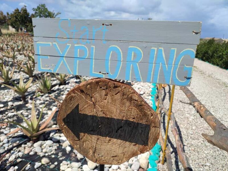 Rhodes:Explore the farm's paths & discover aloe vera & herbs - The Itinerary: What to Expect