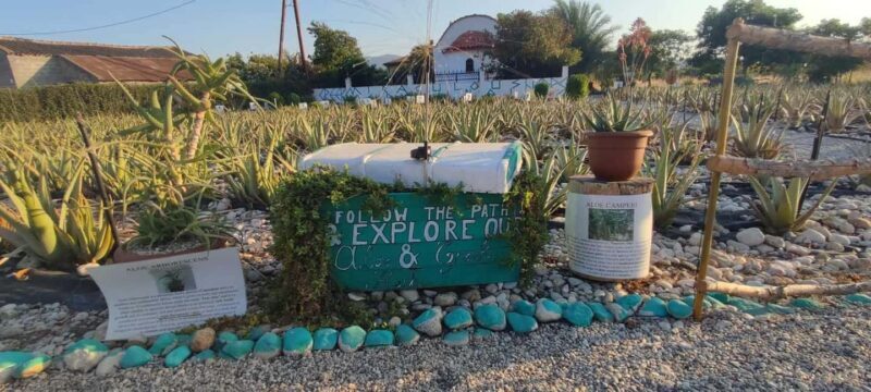 Rhodes:Explore the farm's paths & discover aloe vera & herbs - The Sum Up: Who Will Love This Tour?