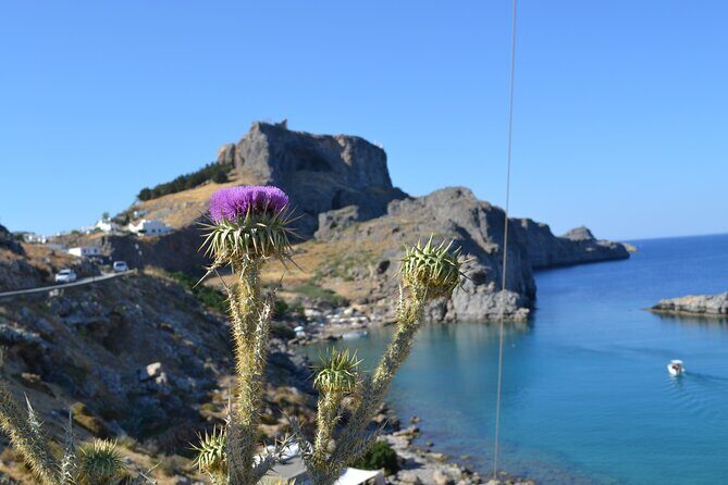 Rhodos-Vip: Guided Tour to Lindos village + Butterflies Valley - In-Depth Review of the Tour Experience