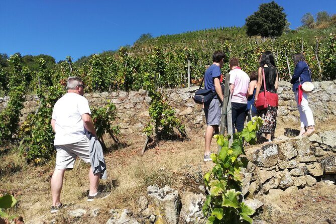 Rhône Valley Wine & Chocolate Tasting Private Day Tour from Lyon - Final Words