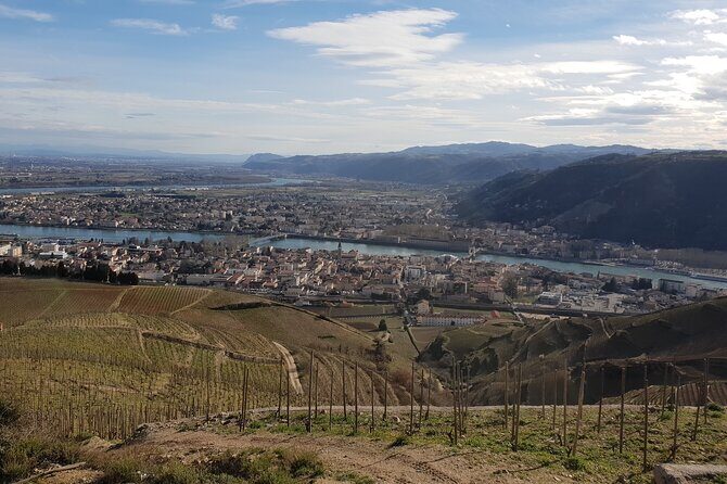Rhône Valley Wine Tasting Private Day Tour from Lyon - Authentic Experience and Genuine Insights