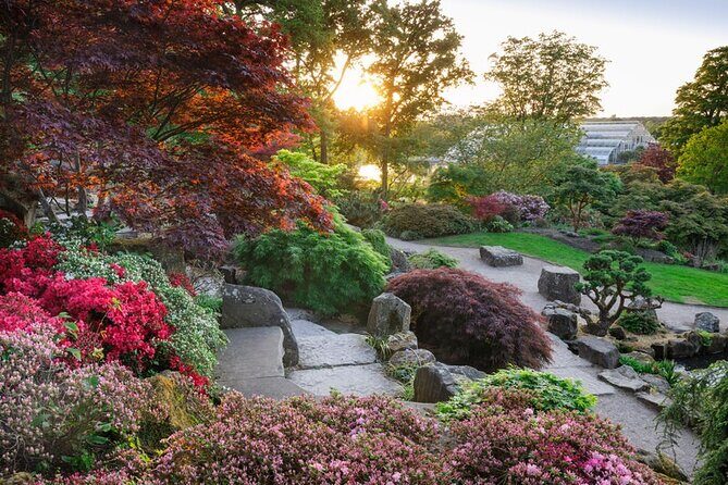 RHS Garden Wisley and Tea in the Garden Entry Ticket - A Deep Dive into RHS Garden Wisley: A Garden-Lover’s Dream