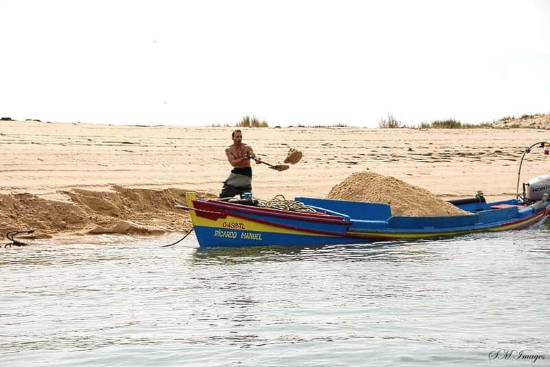 Ria Formosa 3 Islands Guided Day Trip by Boat - Olhão - Island Stop: Armona Island