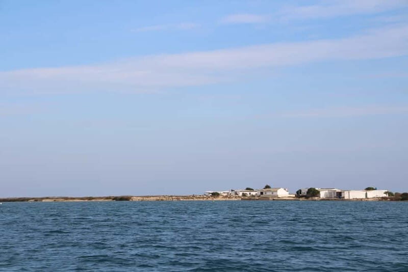 Ria Formosa 3 Islands Guided Day Trip by Boat - Olhão - Returning to the Lagoon: Culatra Island