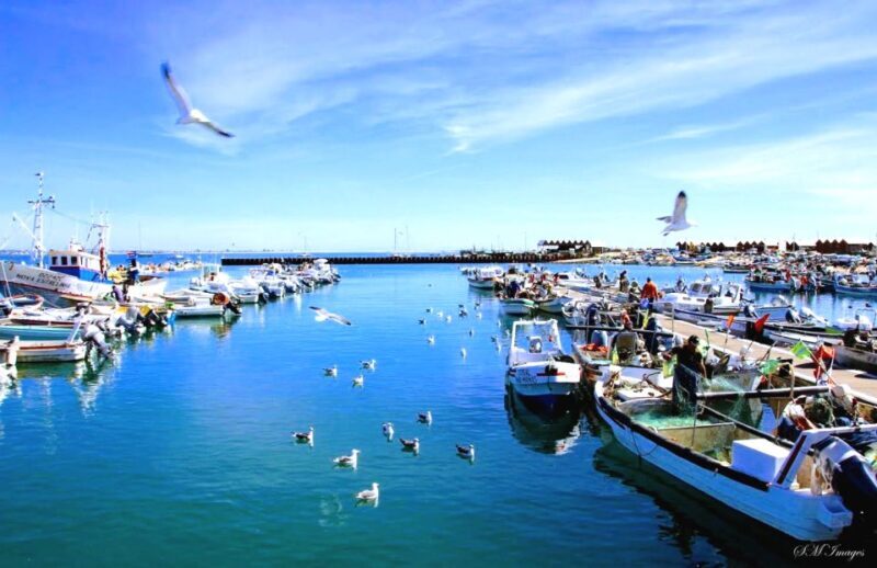 Ria Formosa 3 Islands Guided Day Trip by Boat - Olhão - Final Island Visit: Ilha do Farol