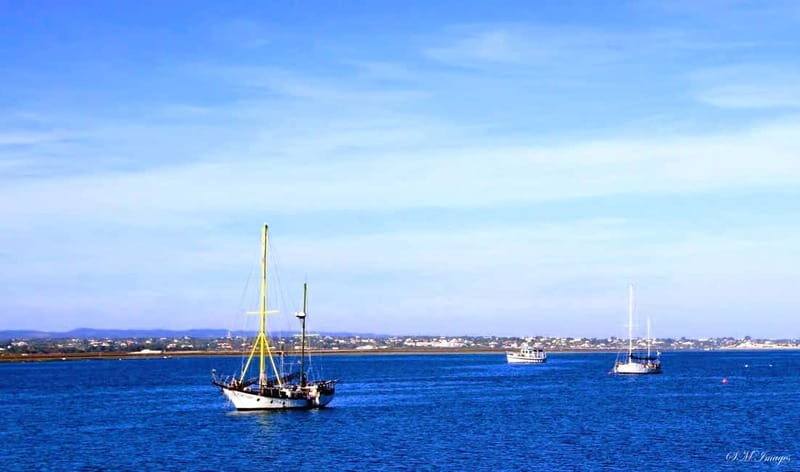 Ria Formosa 3 Islands Guided Day Trip by Boat - Olhão - Sunset and Final Cruise