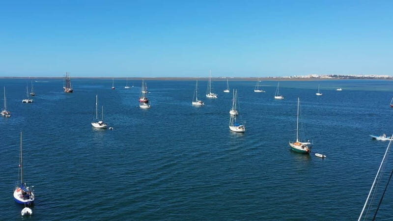 Ria Formosa: Armona and Culatra Islands 3-Hour Boat Tour - The Details of the Ria Formosa: Armona and Culatra Islands 3-Hour Boat Tour