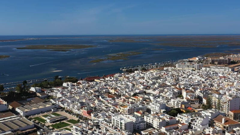 Ria Formosa: Armona and Culatra Islands 3-Hour Boat Tour - Who Would Enjoy This Tour?