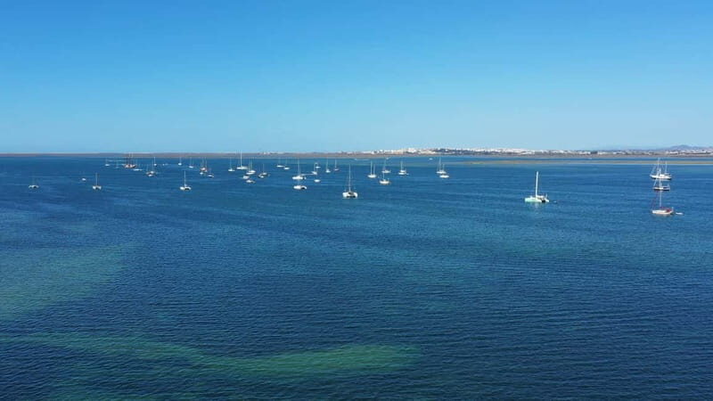 Ria Formosa: Armona and Culatra Islands 3-Hour Boat Tour - In Summary