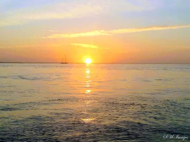 Ria Formosa Bout Tour with sunset - Olhão - Authentic Experiences and Real Traveler Insights