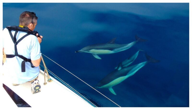 Ria Formosa: Dolphin-Watching Boat Tour - Who Will Enjoy This Tour?