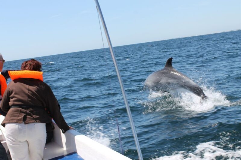Ria Formosa: Dolphin-Watching Boat Tour - Final Thoughts